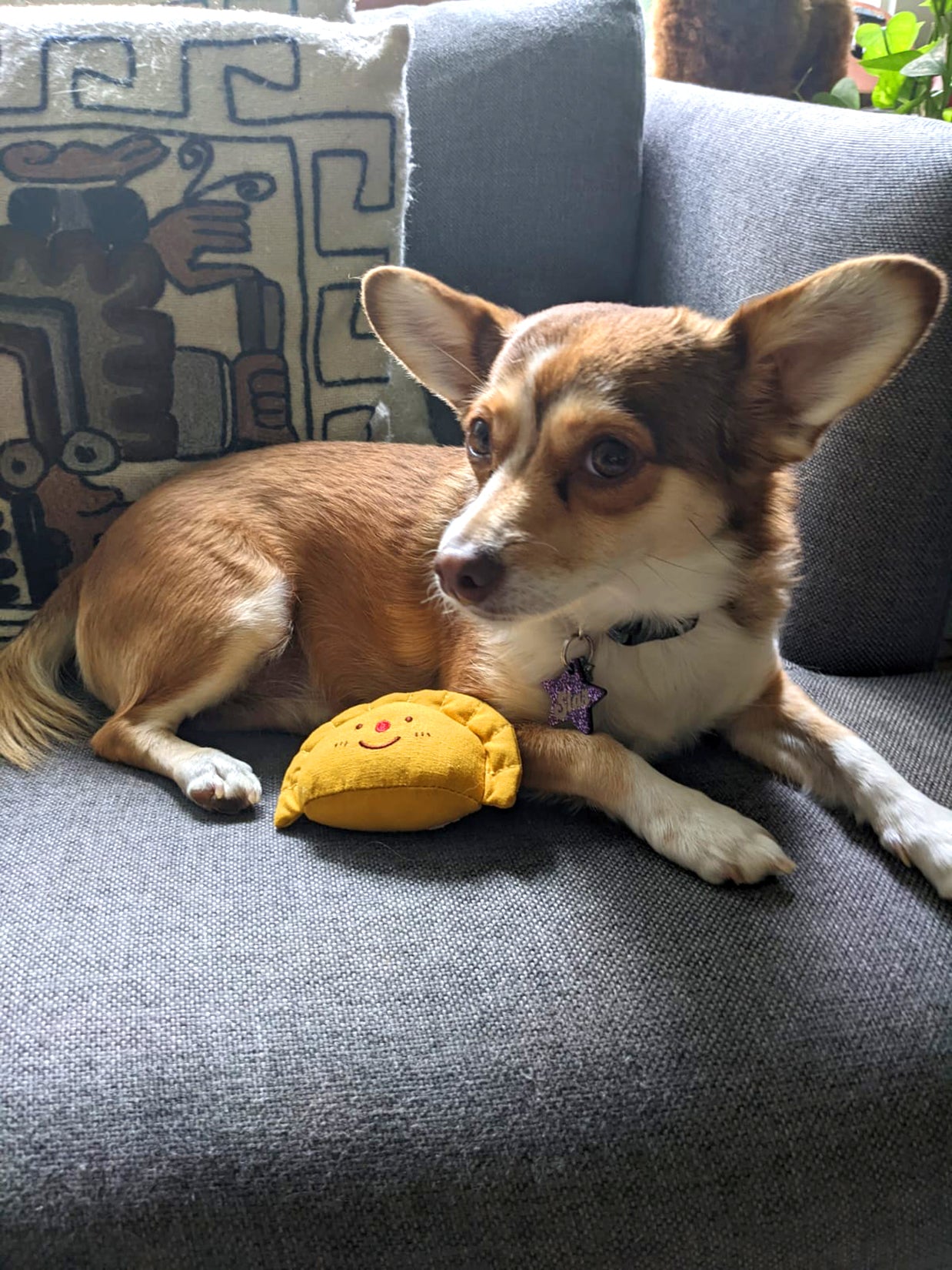 Natali Koromoto x Pawtas brand "Empanada" Squeaky Pet Toy