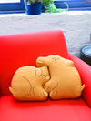 Natali Koromoto "Perfect Nap" design Throw pillows set in "Golden" dye colorway.