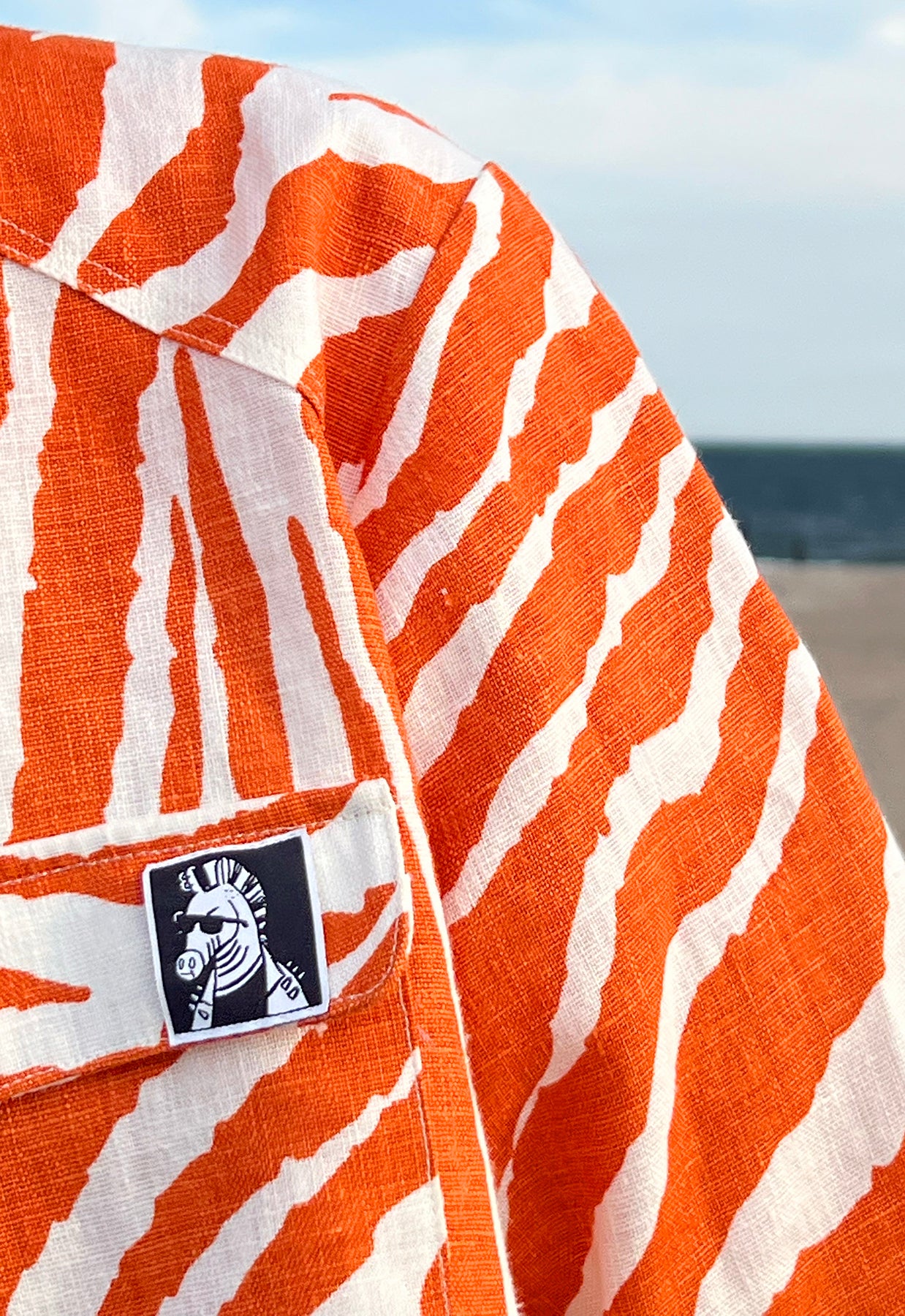 Zebra Without a Cause