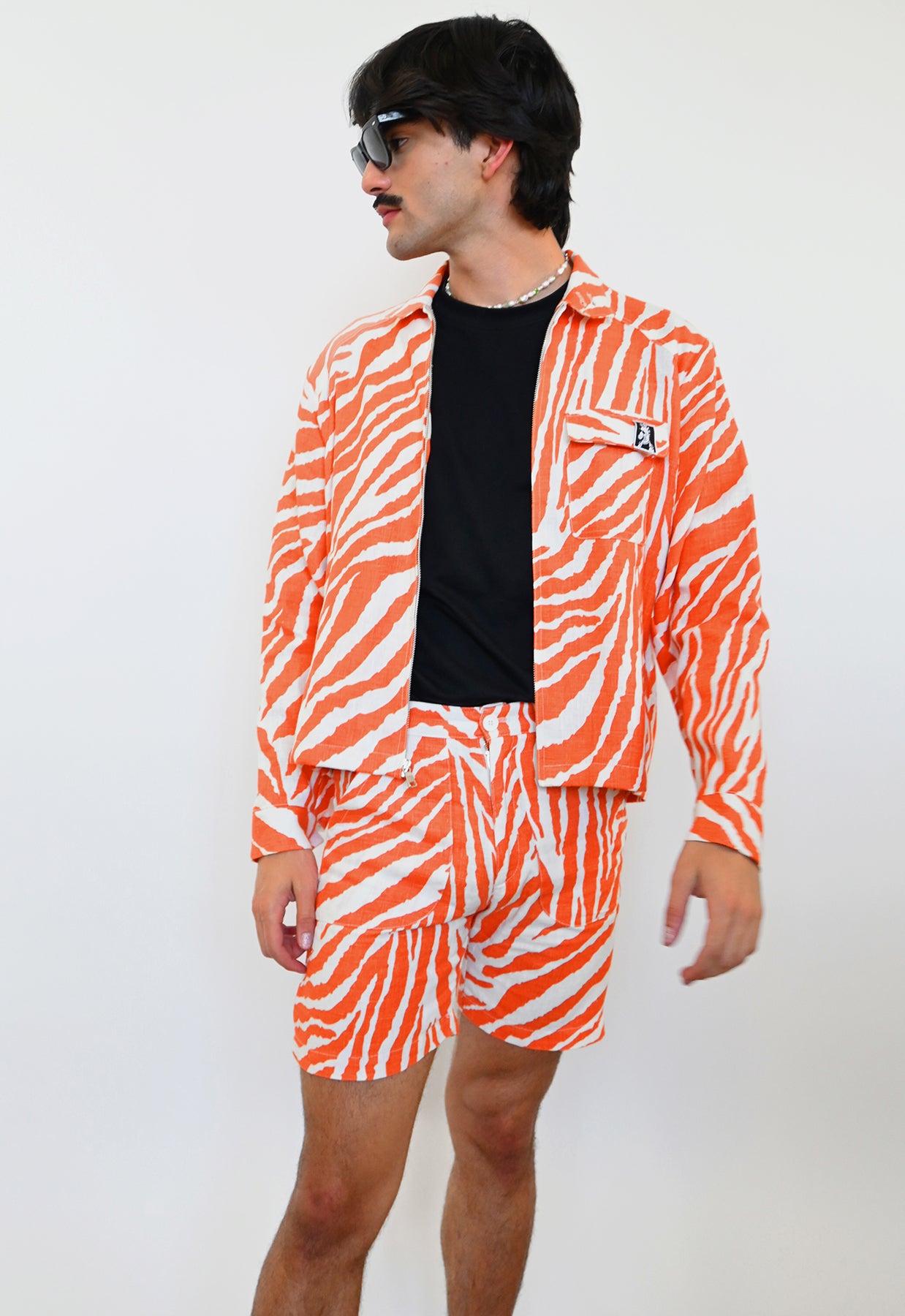Zebra Without a Cause