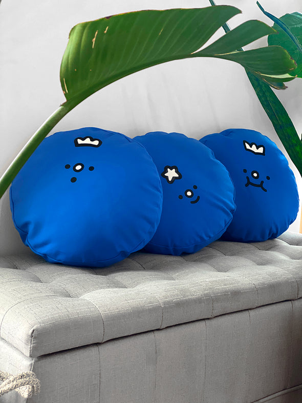 "Fresh Fruit" BLUEBERRY throw pillows